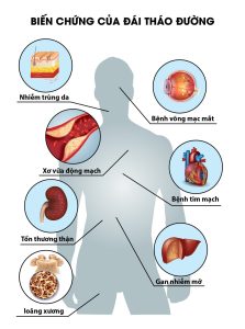 Hình ảnh các cơ quan nội tạng quan trọng